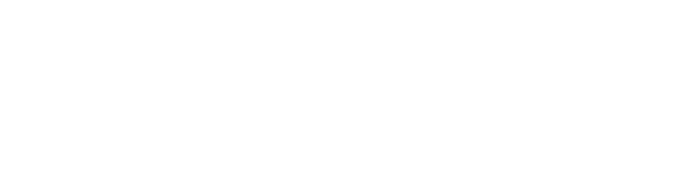 法則化運動期 1984-2001